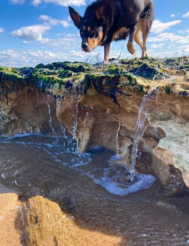 Izgleda kao ogromni pas poviše vodopada