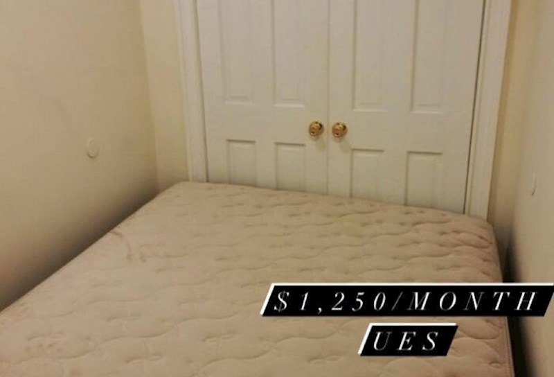 Stanarina: 1,250 dolara