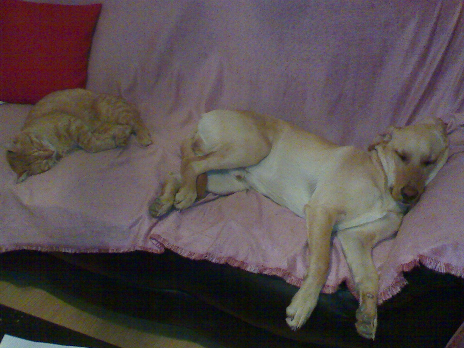 Nakon napornog dana !?