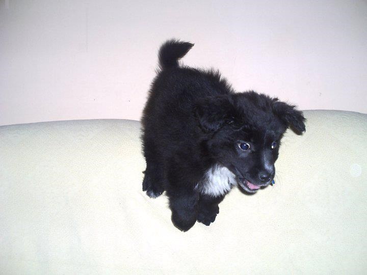 Red Bull daje ti krila!