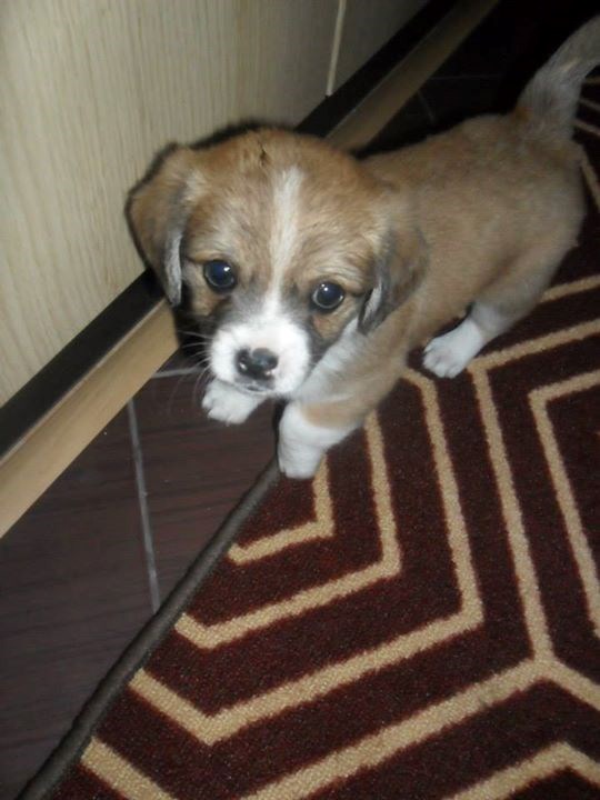 Ivana Pauk - Njoko ¦ ¦ | Facebook