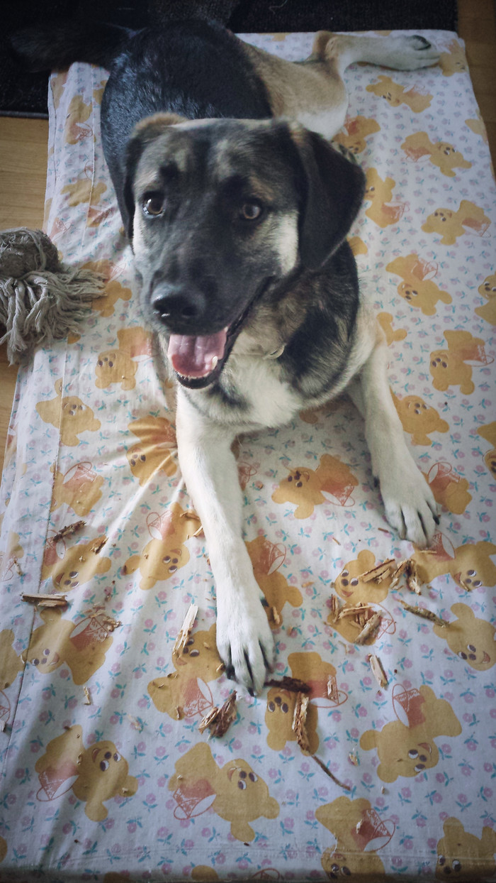 Hana.jpg