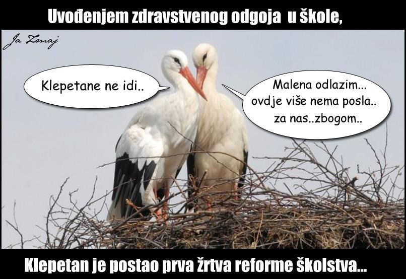 Bozanić u pravu: Znanje uništava čovjeka i prirodu