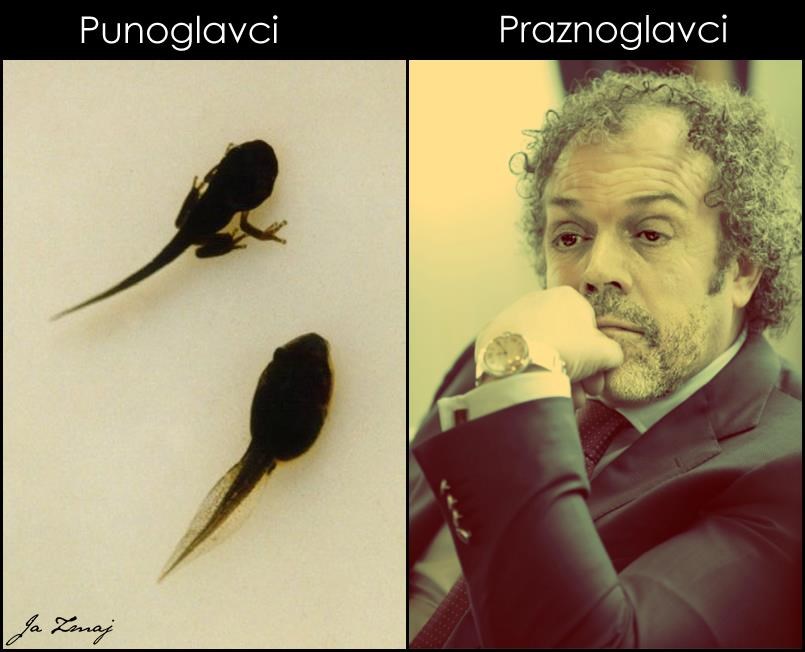 Mislite da sjedi i razmišlja ili ipak samo sjedi?