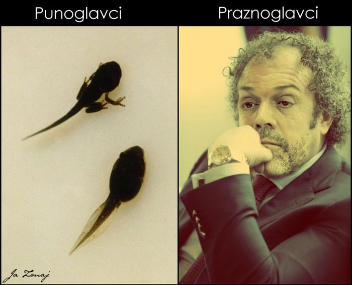 Mislite da sjedi i razmišlja ili ipak samo sjedi?