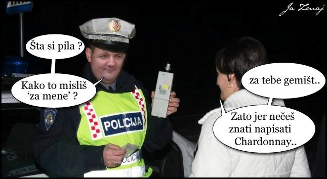 Pravilno ophođenje s organom reda i mira?