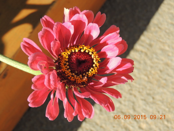 DSCN7122.JPG