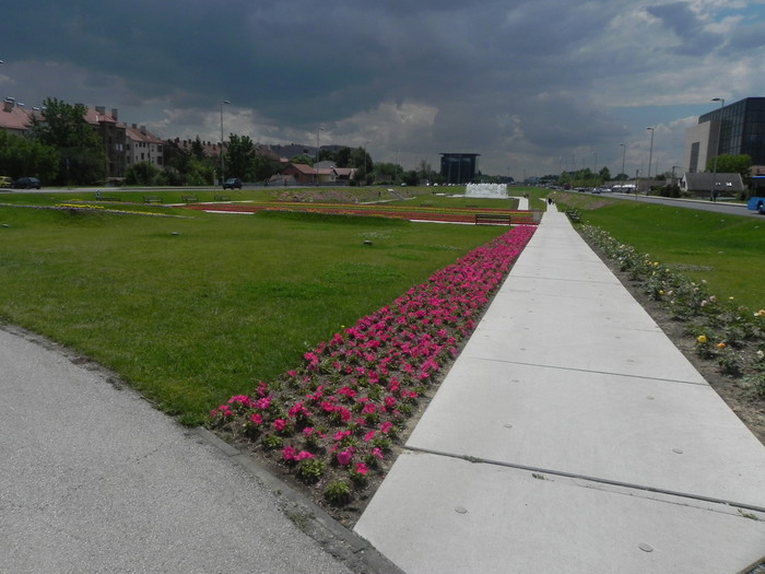 DSCN7292.JPG