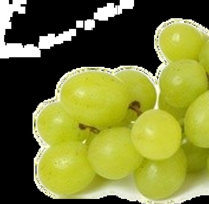 OCJENJIVANJA VINA-AKTUALNO- APEL!