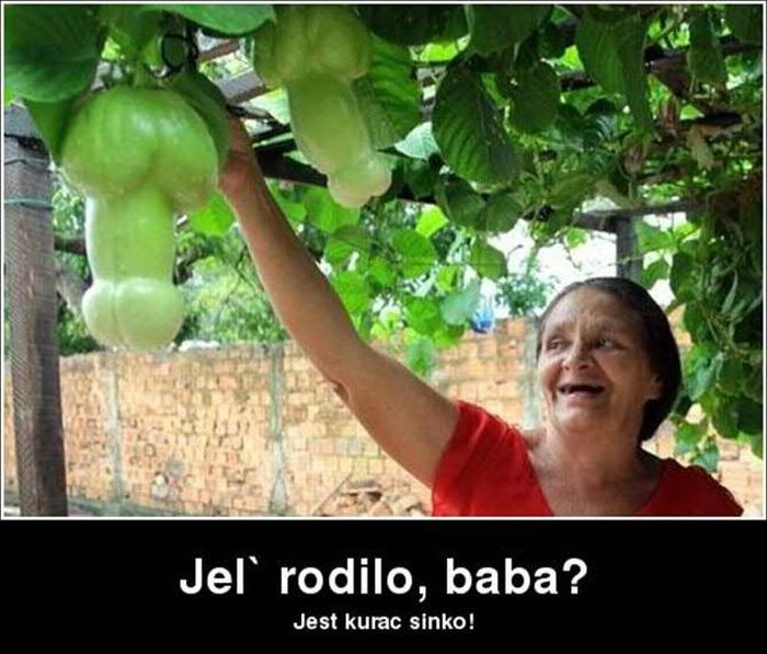 Jel' rodilo...?