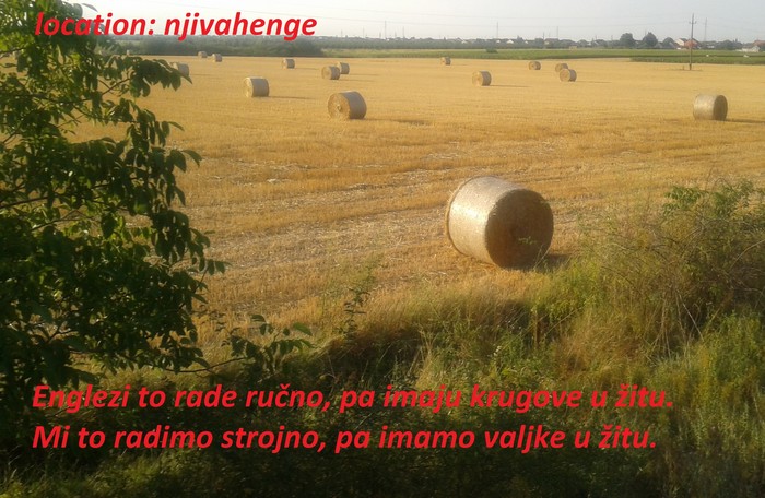 Valjci u žitu