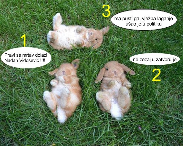 Kako političari vježbaju