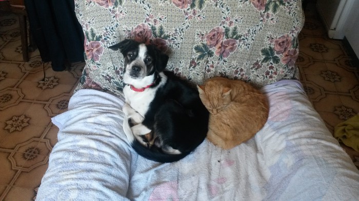 Max i Roko