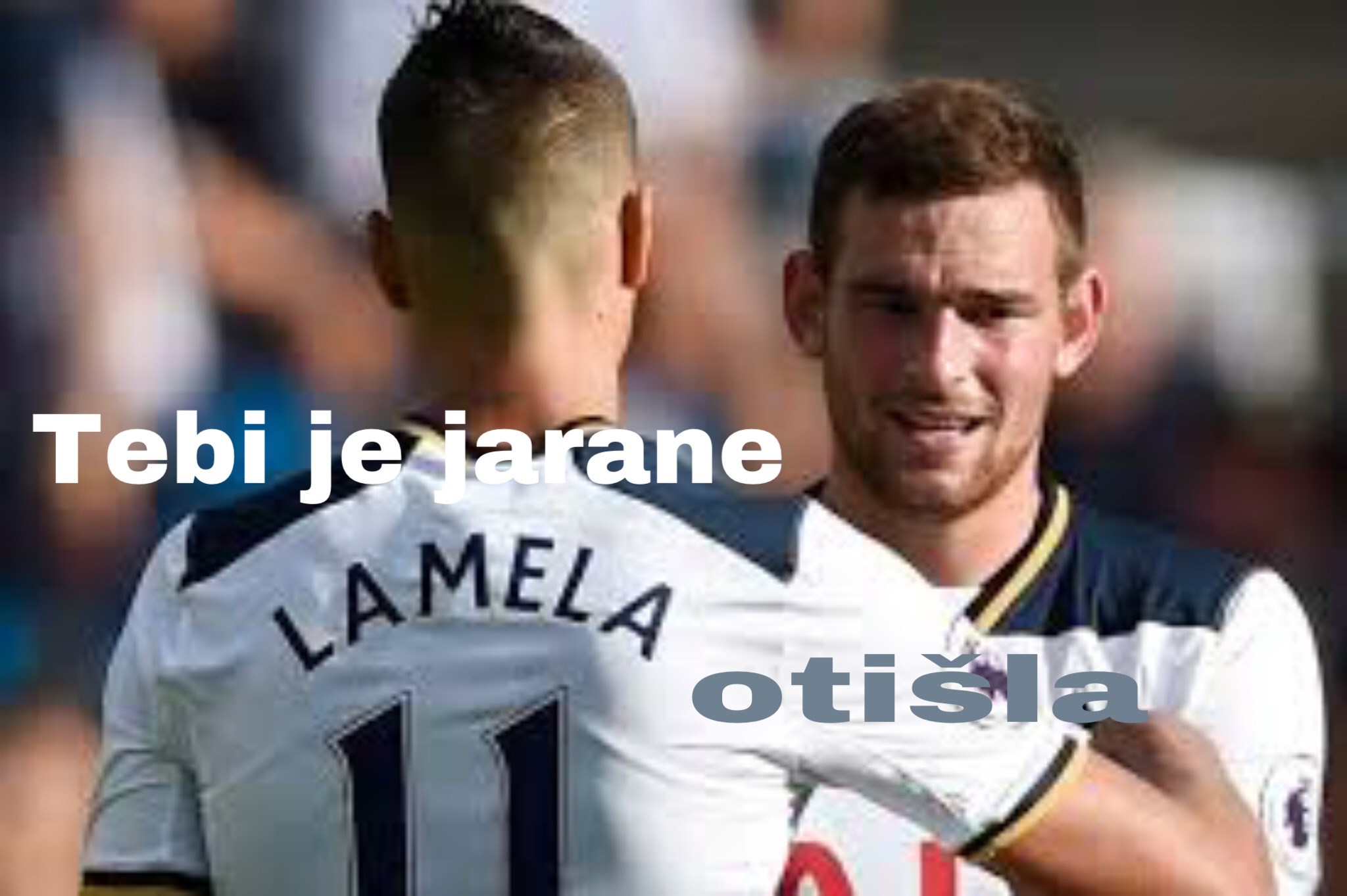 lamela