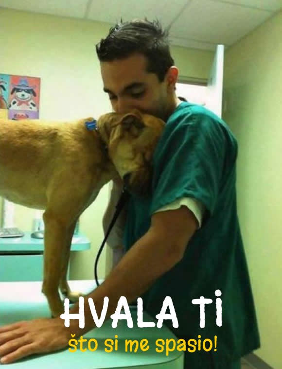 Zahvalnost je jedna od najplemenitijih vrlina