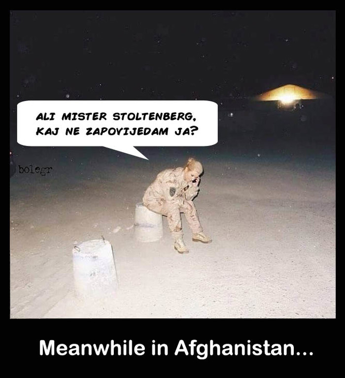 koli.jpg