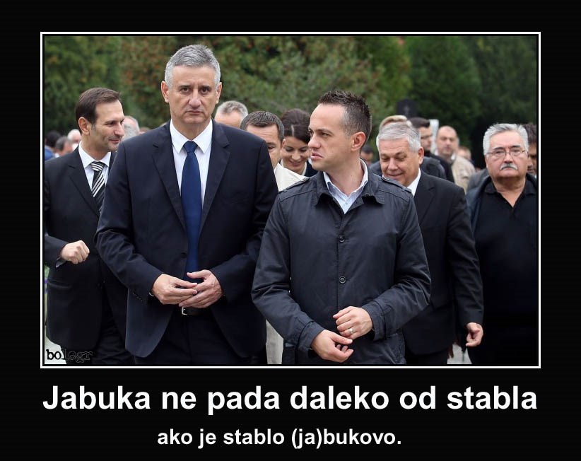 Jabuka ne pada daleko od stabla...