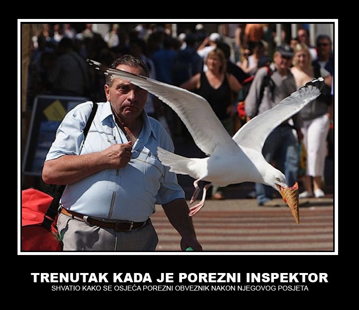 Osjećaji poreznog inspektora