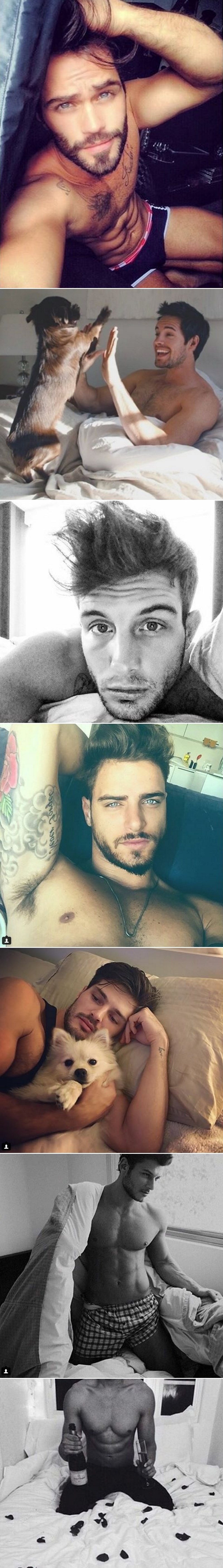 GALERIJA: Vrući macani ljenčare u krevetu