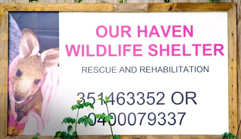 Bračni par Matthews sklonište naziva rajskim