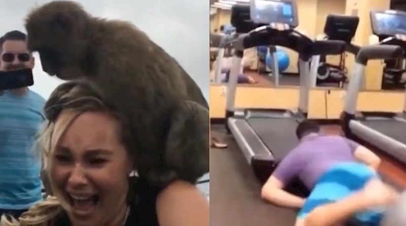 Ovi ljudi jednostavno nisu imali sreće - kompilacija najsmješnijih videa 2020. godine