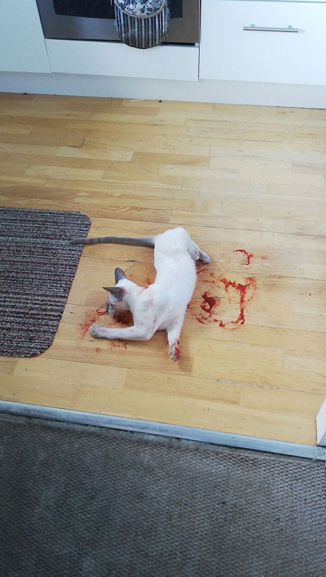 Mljevena začinska paprika