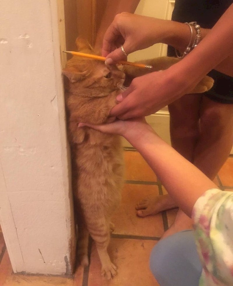 Htjeli su ga izmjeriti kao i svu drugu djecu...