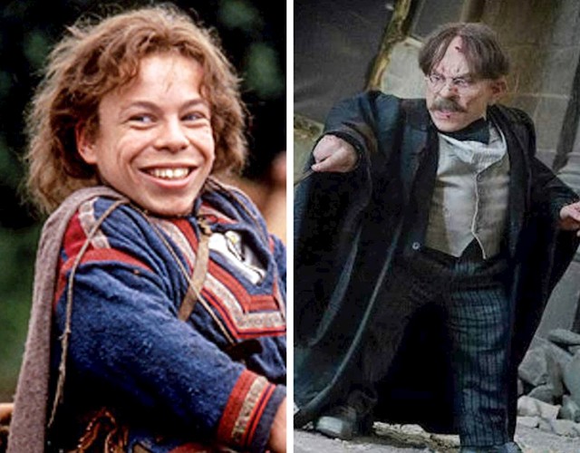 Filius Flitwick, Warwick Davis