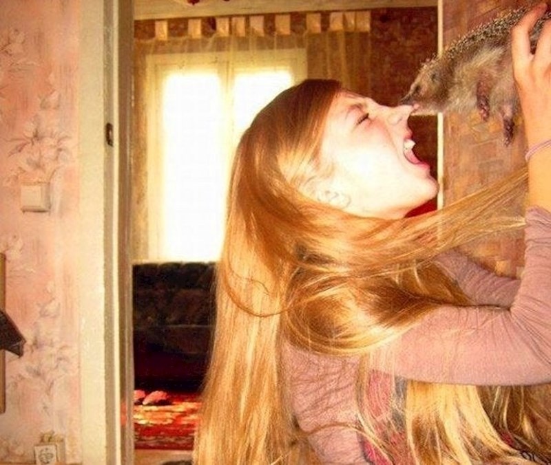 Tko bi rekao da su ježevi ovako agresivni? :D