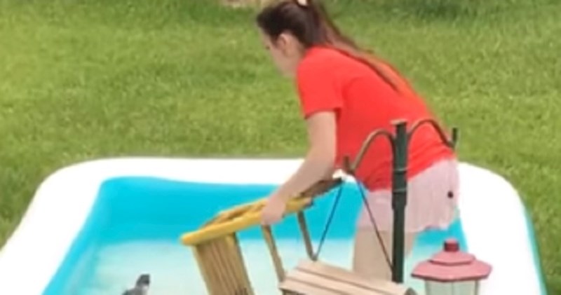 Cura je spašavala vjevericu iz bazena, ovo što joj se dogodilo definitivno nije očekivala