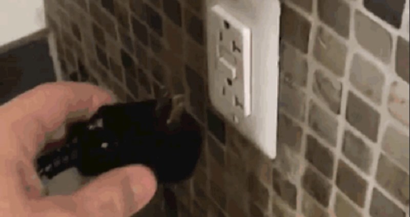 Morate vidjeti što se desi kada pokušate upotrijebiti ovu utičnicu. Netko treba dobiti otkaz