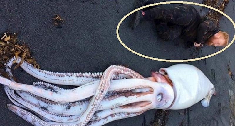 Usporedbe na ovim slikama omogućit će vam da na svijet gledate nekim drugim očima