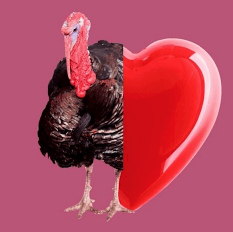 Purani se mogu zarumenjeti