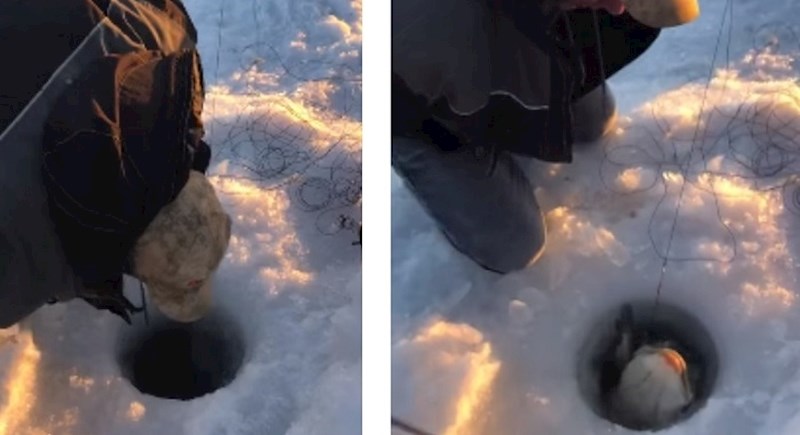 VIDEO Lik je uspio uhvatiti ogromnu ribu kroz malu rupu u ledu