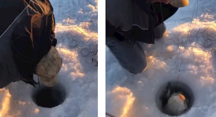 VIDEO Lik je uspio uhvatiti ogromnu ribu kroz malu rupu u ledu