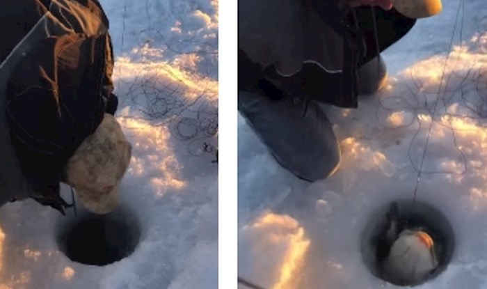 VIDEO Lik je uspio uhvatiti ogromnu ribu kroz malu rupu u ledu