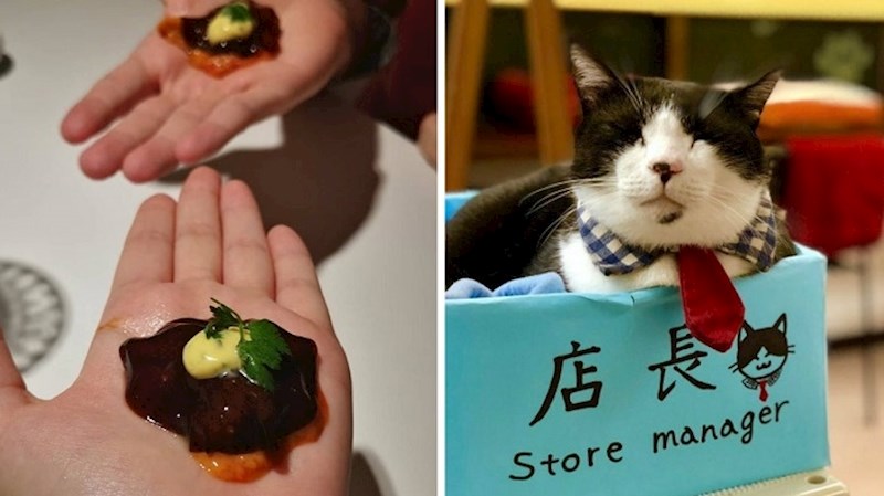 13 neobičnih restorana u koje se gosti uvijek vraćaju