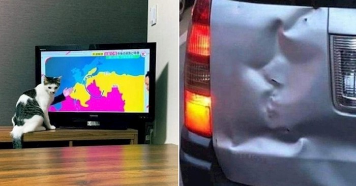 Fascinantne optičke iluzije u koje nećete moći prestati gledati