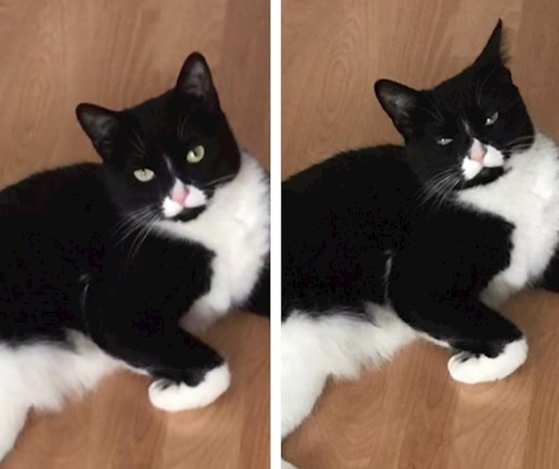 "Opet me gnjaviš..."