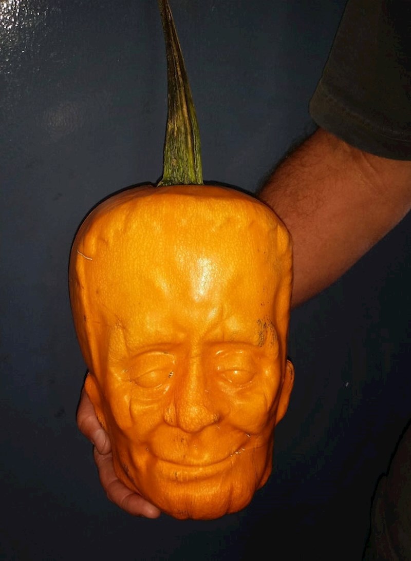 Bundeva uzgajana u plastičnom kalupu