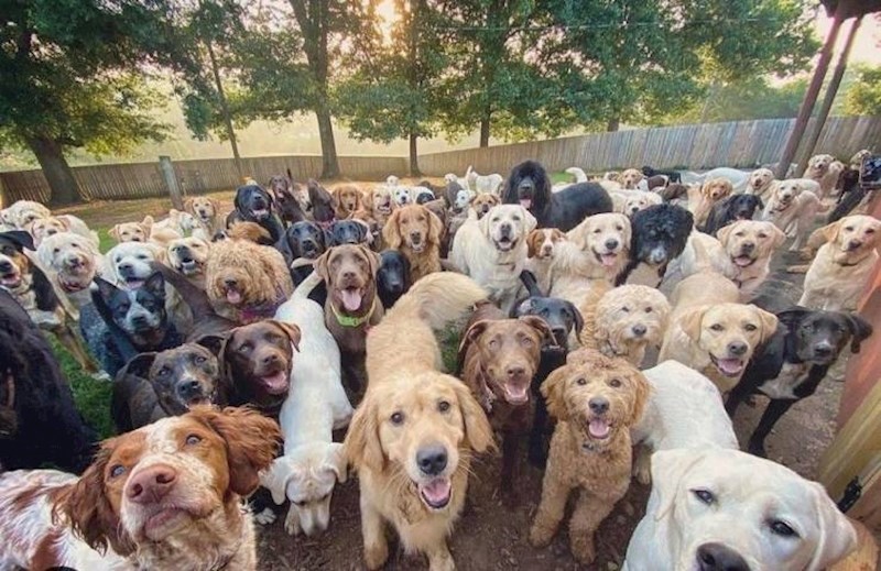 Level slatkoće: 10000000000000000 i još bezbroj nula