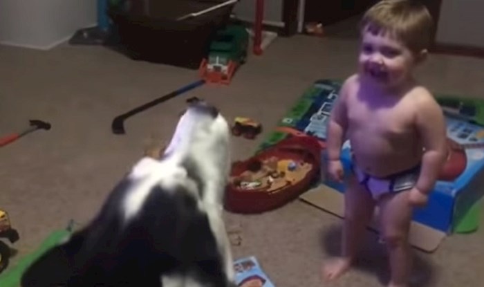Mama je snimila svog sinčića kako oponaša njihovog haskija, snimka je preslatka