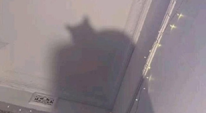 Mislili su da im je Batman u kući, smijali su se kada su vidjeli o čemu se zapravo radi