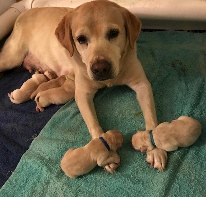 Nešto najslađe ikad