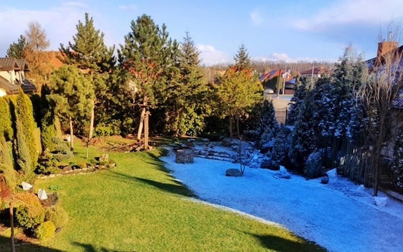 "Čini se da je polovica mog dvorišta odlučila ostati u zimi"