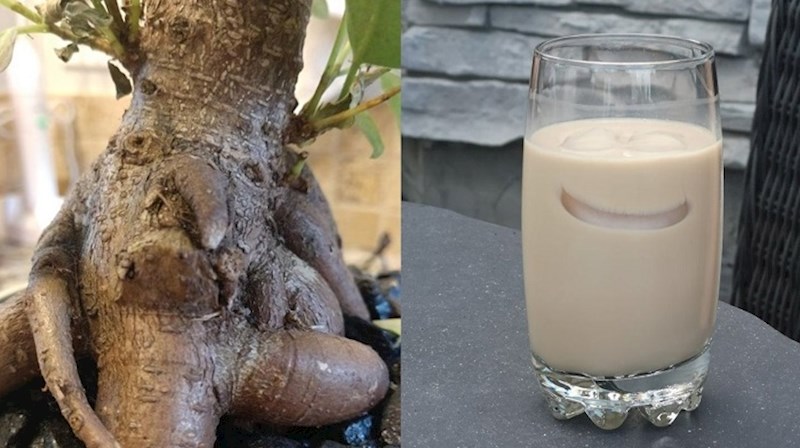 Prizori koji su nasmijali ljude i morali su ih fotkati