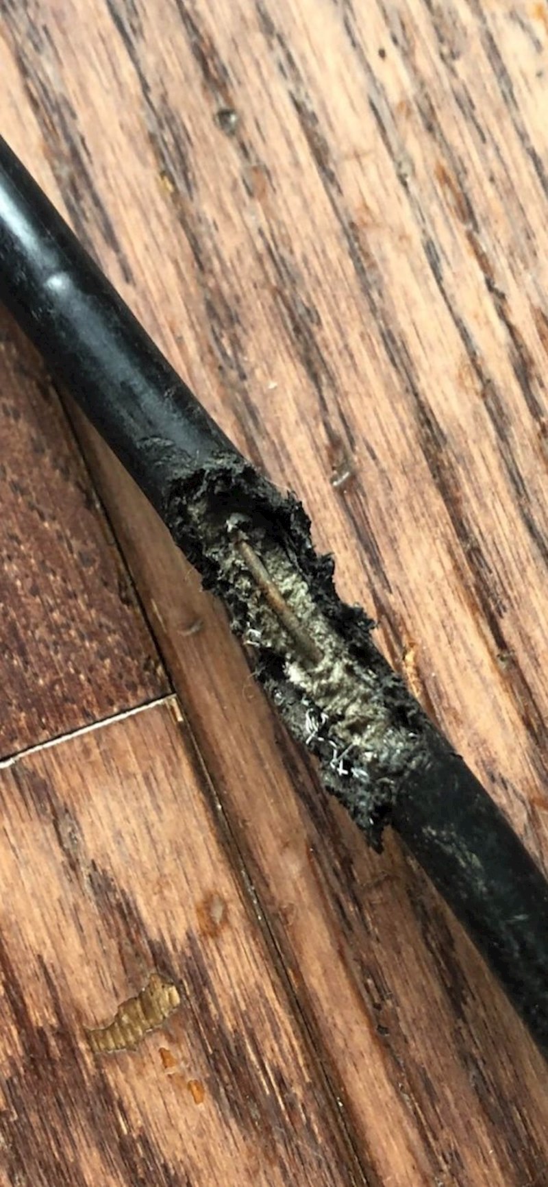 "Duže vremena imam problema s internetom, napokon su mi došli iz tehničke službe. Mislim da je ovo problem"