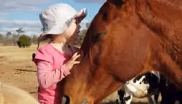 Roditelji su snimili nevjerojatnu povezanost djevojčice i konja, jedna stvar ih je posebno dirnula