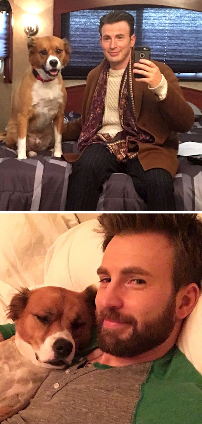 Chris Evans i Dodger (Nadarena)