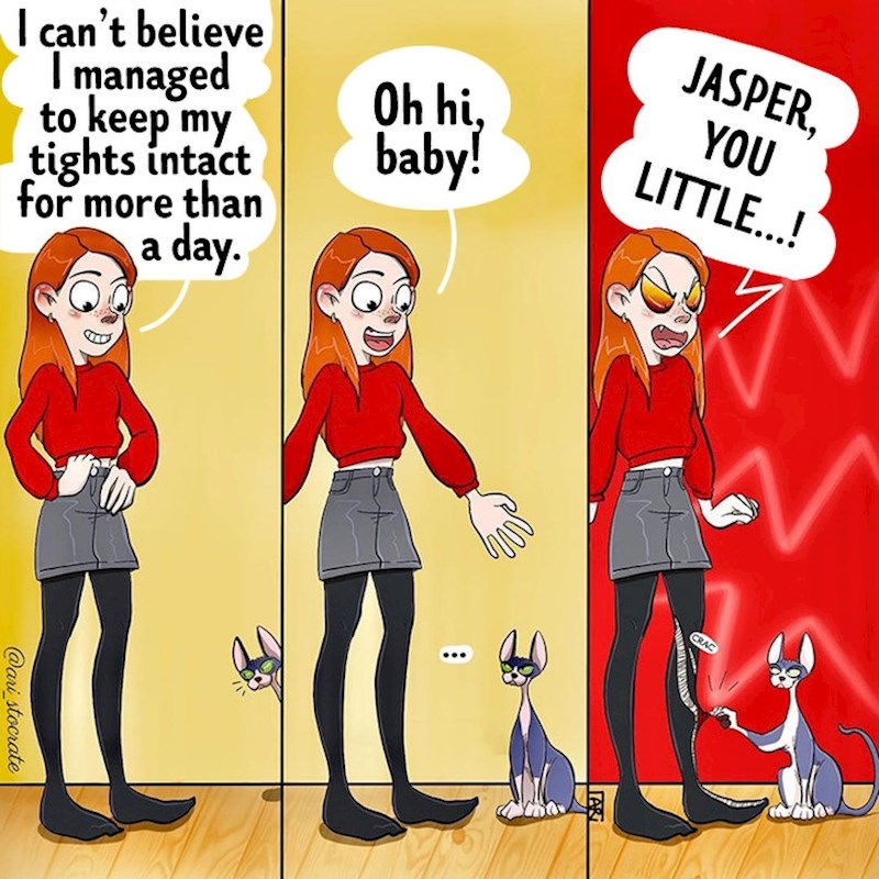 Mačke i najlonke...